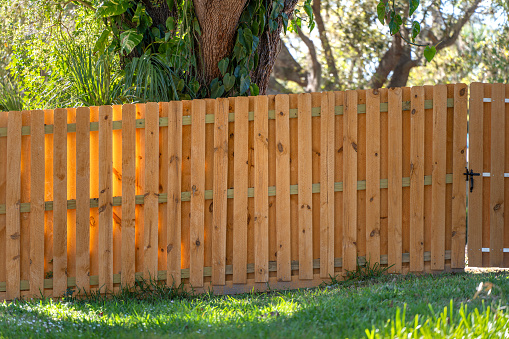 Wooden plank fence
